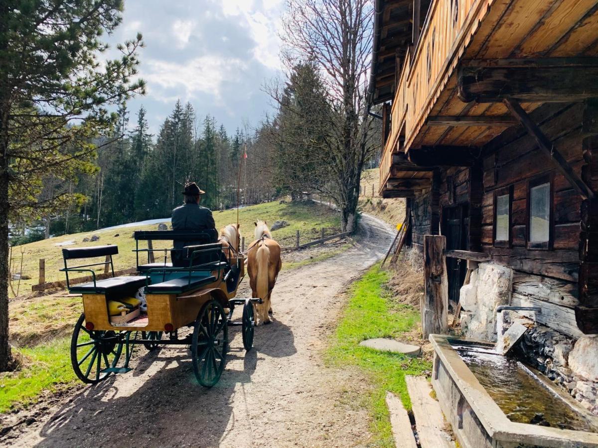 Bergkristallhaus Ramsau am Dachstein Exteriör bild