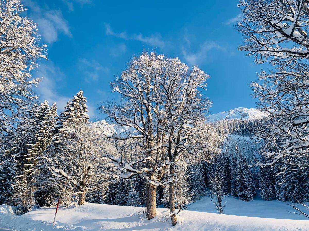 Bergkristallhaus Ramsau am Dachstein Exteriör bild